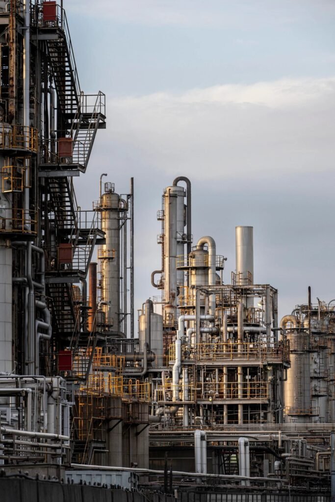 Neelgiri suryaminchem